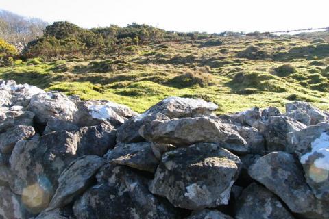 Can we date Mendip's Dry Stone Walls?