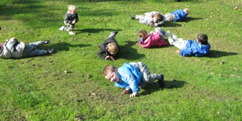 Children exploring nature