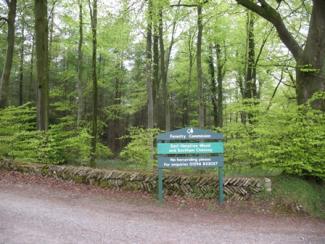 East Harptree Woods Mendip Hills AONB