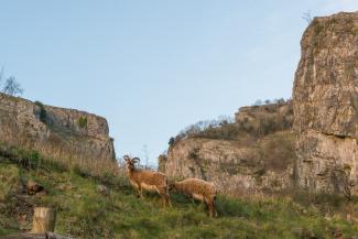 Geology Mendip Hills AONB. Credit Diana Jarvis Greentraveller