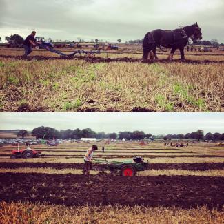 Mendip Ploughing Match, credit Mendip Hills AONB Unit