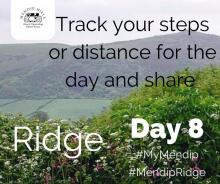 Track your steps or distance for the day